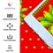 Goddess Laxmi Backdrop 5x8 Feet Indian Traditional Cloth Varalaxmi Vratam Decor Indian Diwali Decor Pooja Wall Decor Indian Wall Art Photo Decor Banner Decorative Cloth Navratri Decor